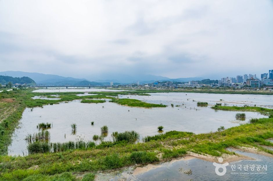 남대천(양양) 여행 추천 - 로드트립