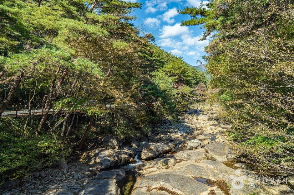 구례장죽전녹차시배지 여행 추천 - 로드트립