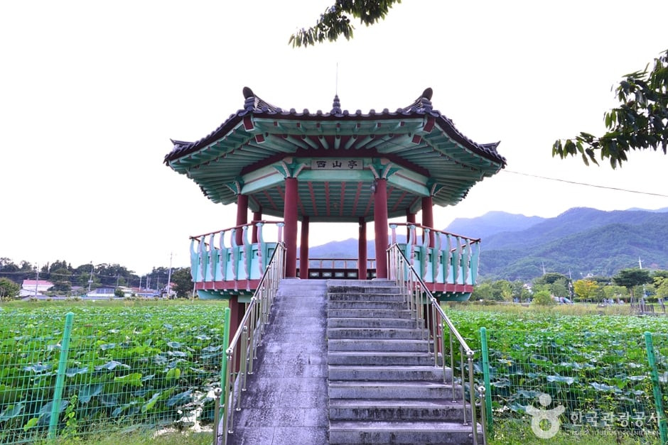 죽동제 여행 추천 - 로드트립
