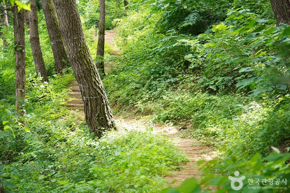 조양산(정선) 여행 추천 - 로드트립