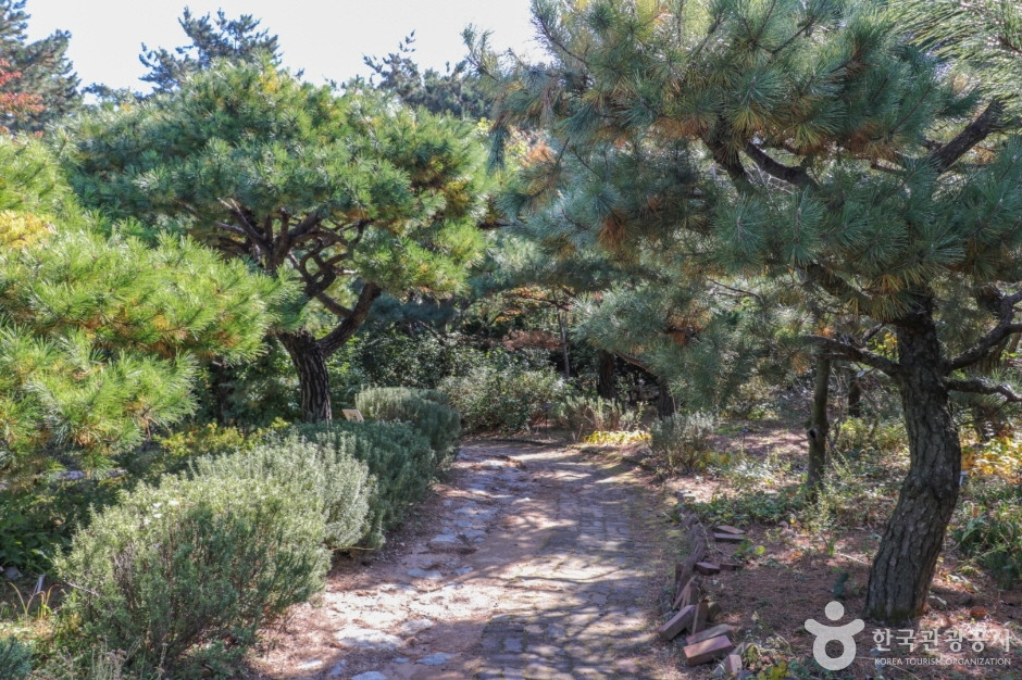울산테마식물수목원 여행 추천 - 로드트립