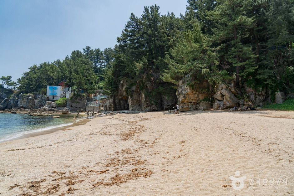 감추해변 여행 추천 - 로드트립
