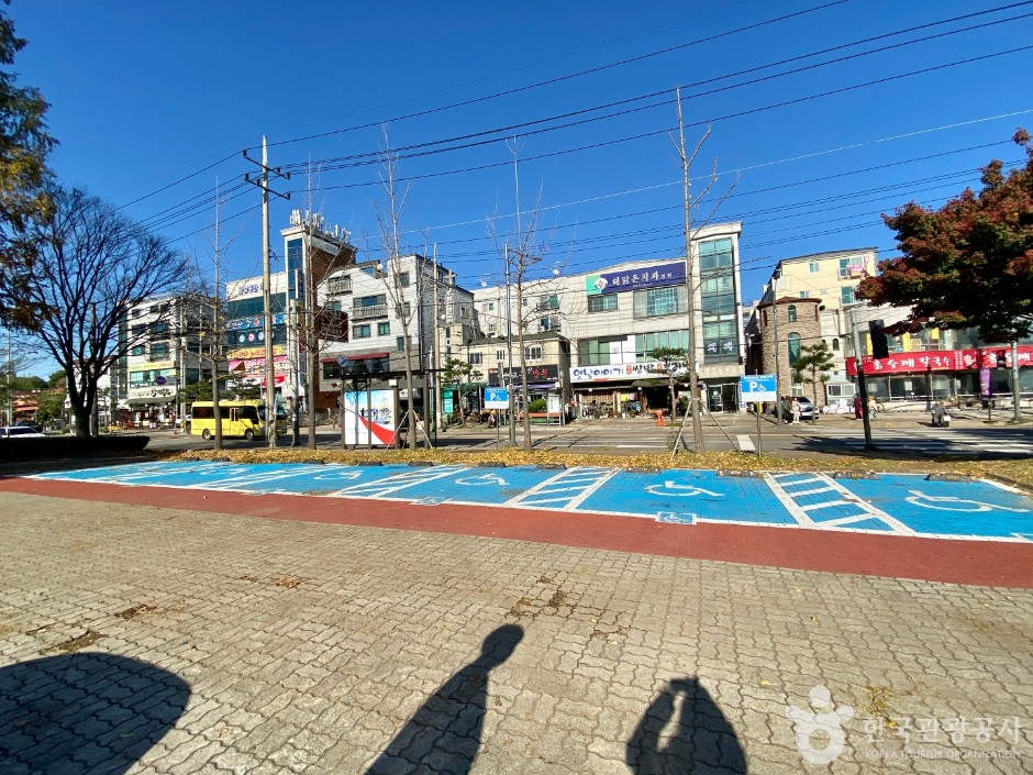 안산식물원 여행 추천 - 로드트립