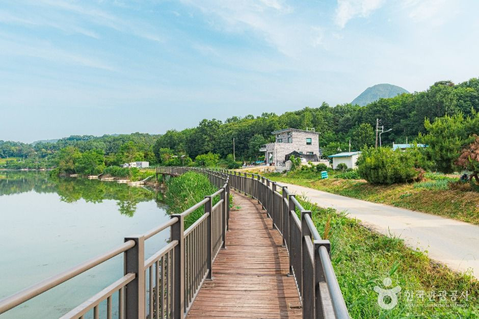 향리저수지 여행 추천 - 로드트립