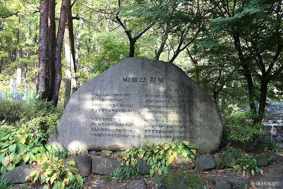 비슬산군립공원 여행 추천 - 로드트립