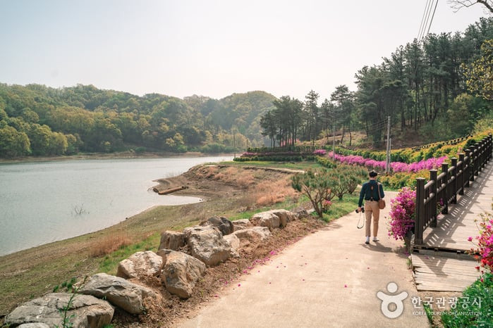 부소담악(추소정) 여행 추천 - 로드트립