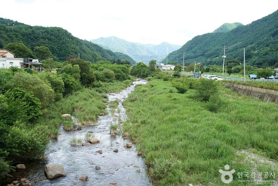 정선 가리왕산마을 여행 추천 - 로드트립