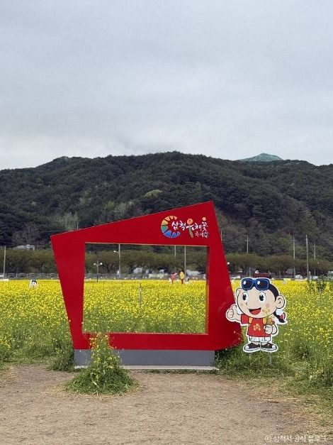삼척 맹방 유채밭 여행 추천 - 로드트립