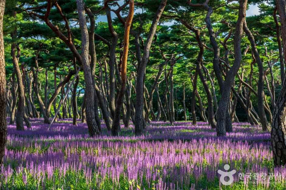 황성공원 여행 추천 - 로드트립