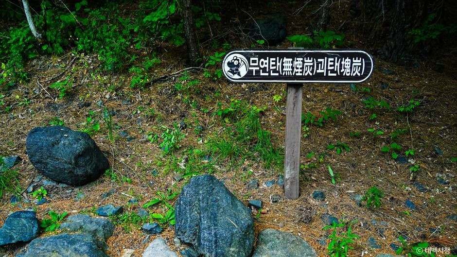 최초석탄발견지탑 여행 추천 - 로드트립