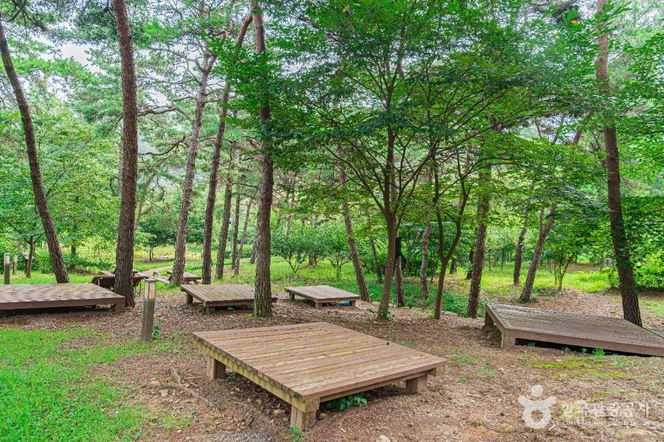 금성산생태숲 여행 추천 - 로드트립