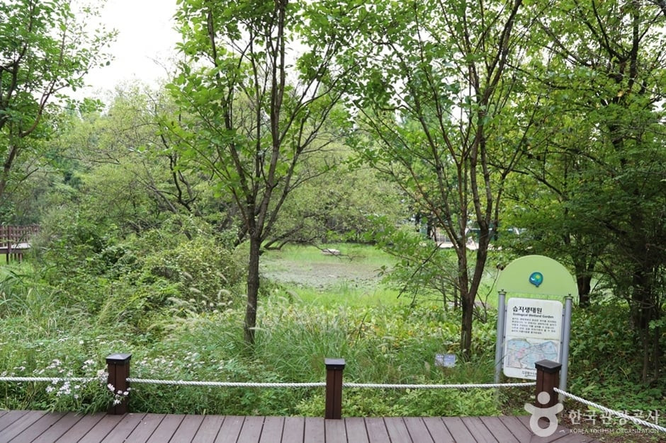 물향기수목원 여행 추천 - 로드트립