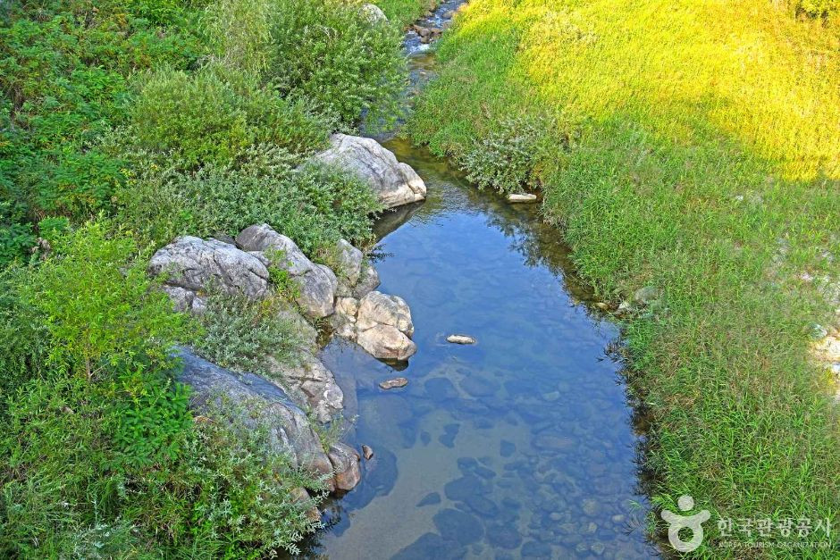 하추리계곡 여행 추천 - 로드트립