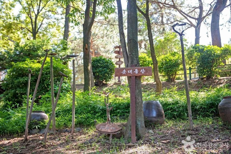 구덕문화공원 여행 추천 - 로드트립