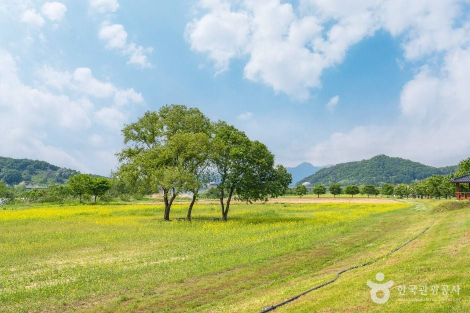 당남리섬 여행 추천 - 로드트립