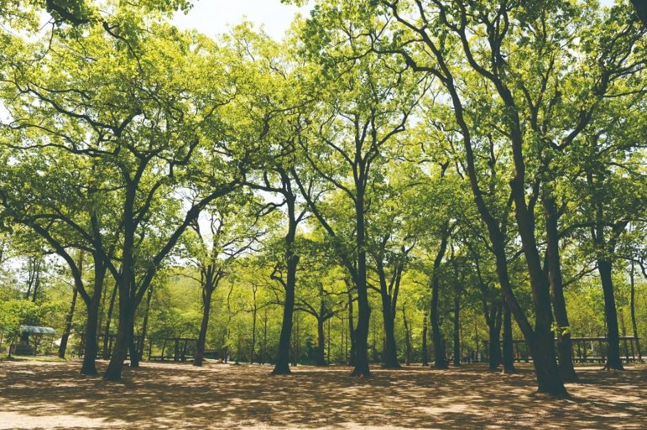 옥화9경 여행 추천 - 로드트립