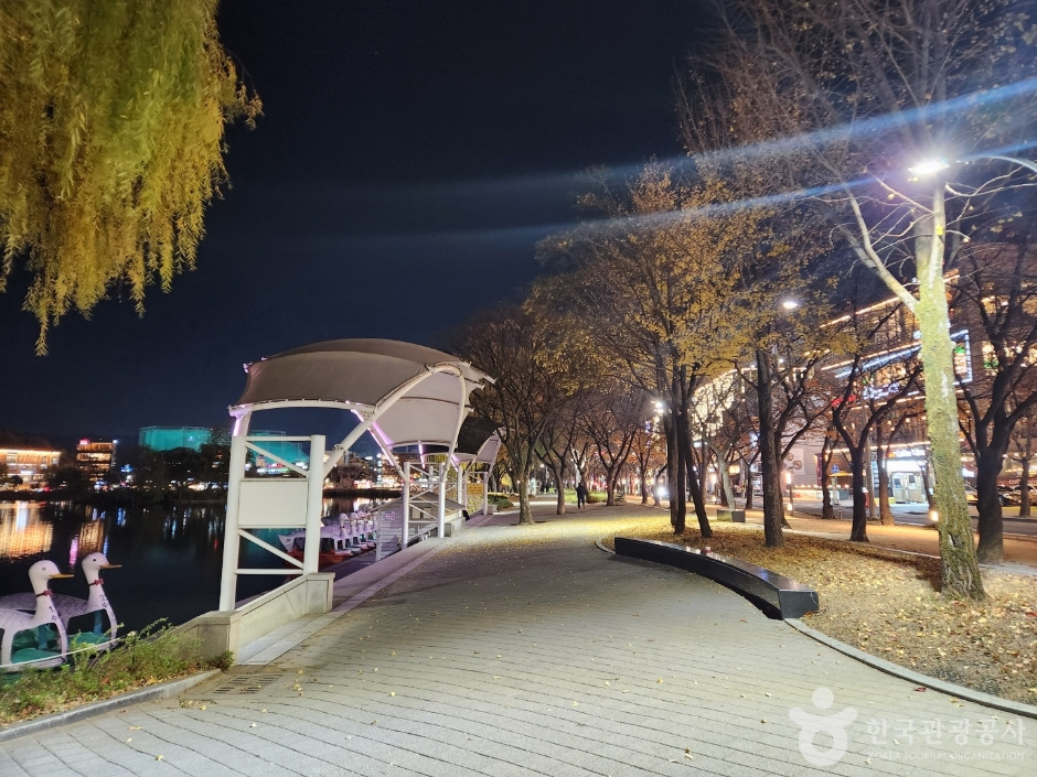 수성못 유원지 여행 추천 - 로드트립