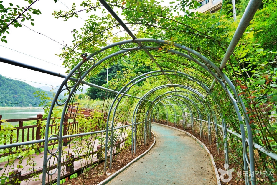 단양 상상의 거리 여행 추천 - 로드트립