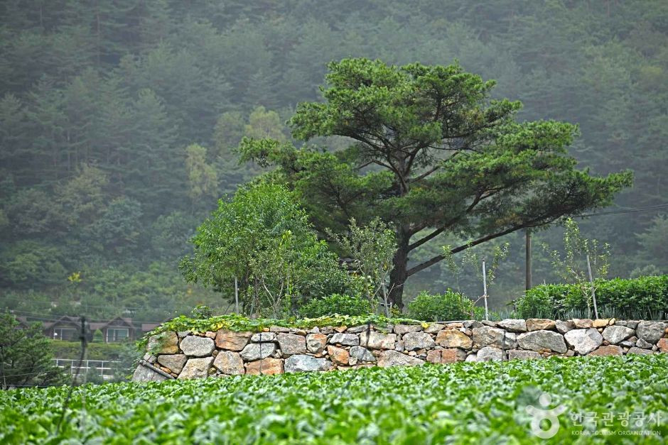 평창 수항리사지 여행 추천 - 로드트립