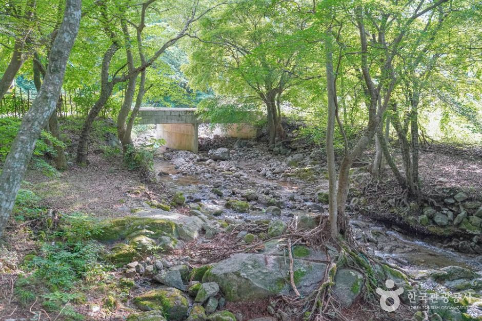 용흥사계곡 여행 추천 - 로드트립