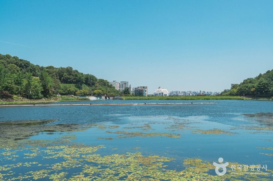 설봉저수지 여행 추천 - 로드트립