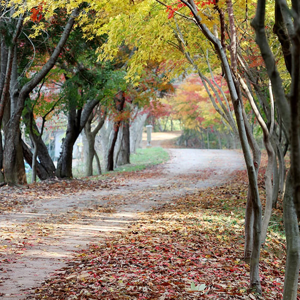 물무산 행복숲 여행 추천 - 로드트립