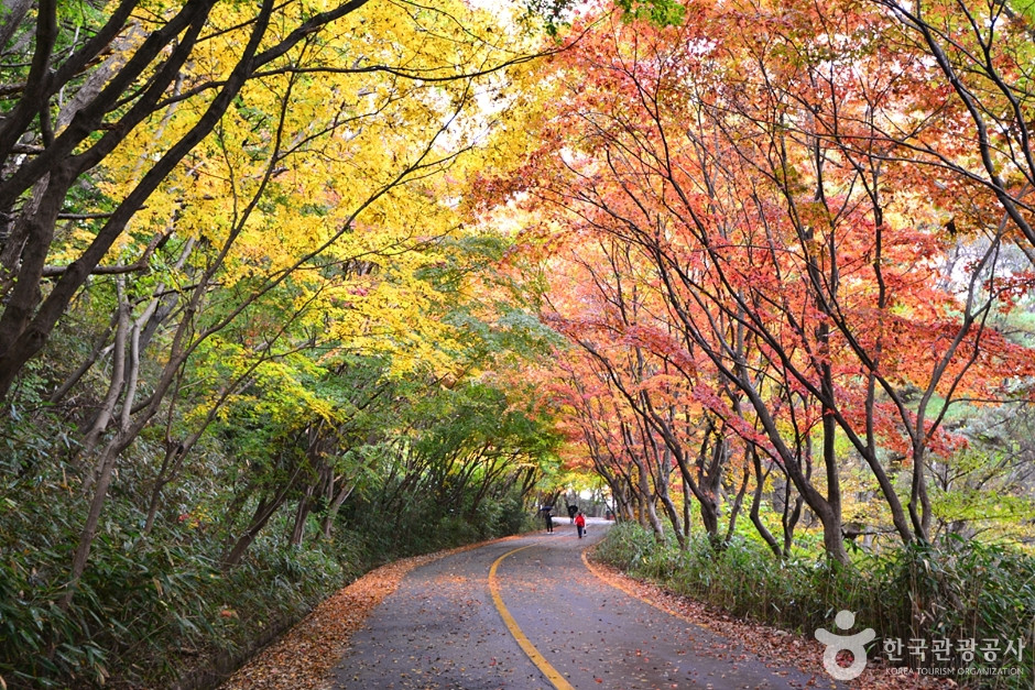 원효사(광주) 여행 추천 - 로드트립