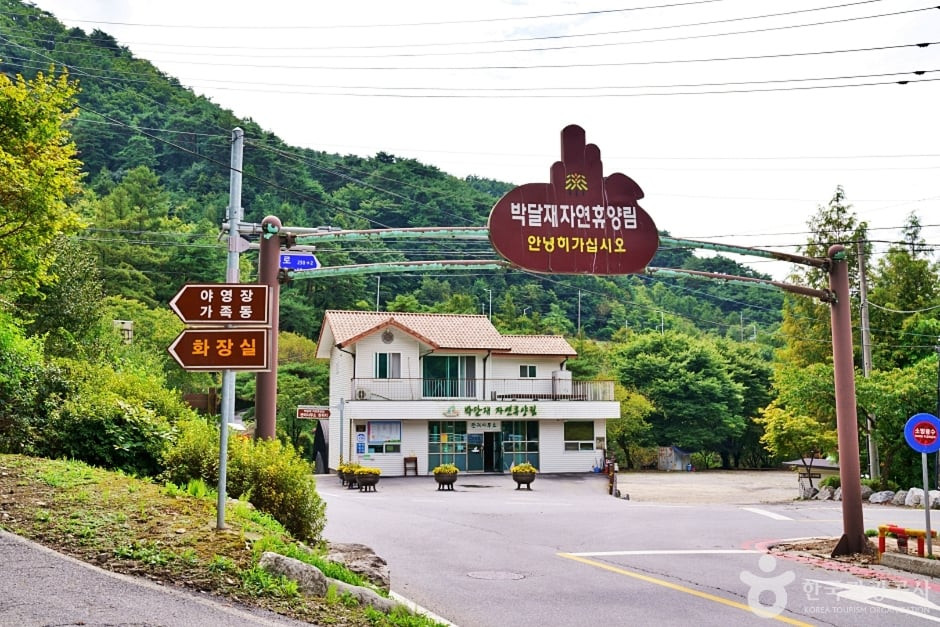 박달재자연휴양림 여행 추천 - 로드트립