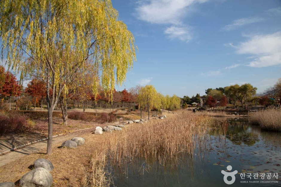한밭수목원 여행 추천 - 로드트립