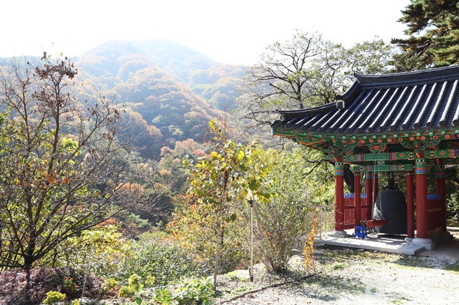 덕유산국립공원(남덕유분소) 여행 추천 - 로드트립