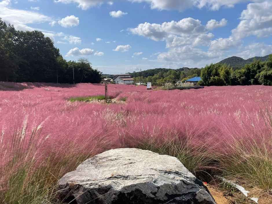 고창 청농원 여행 추천 - 로드트립