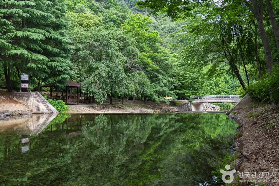 고산자연휴양림 여행 추천 - 로드트립