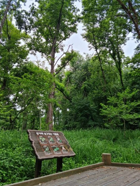 헌인릉 생태경관보전지역(오리나무림) 여행 추천 - 로드트립