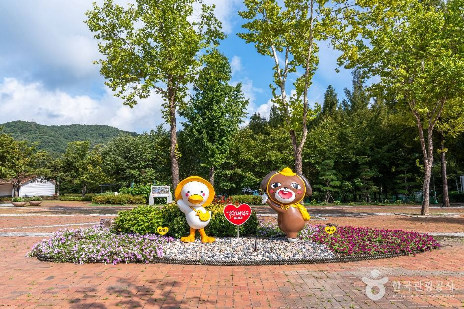 금강로하스대청공원 여행 추천 - 로드트립