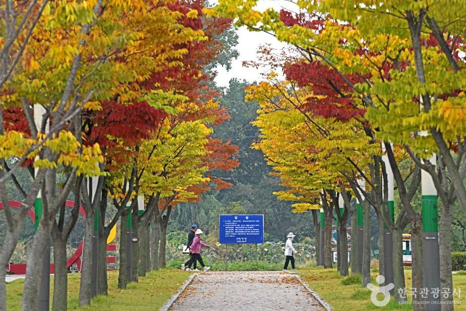 만석거공원 여행 추천 - 로드트립