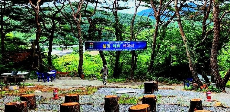 영월애살으리랏다 여행 추천 - 로드트립