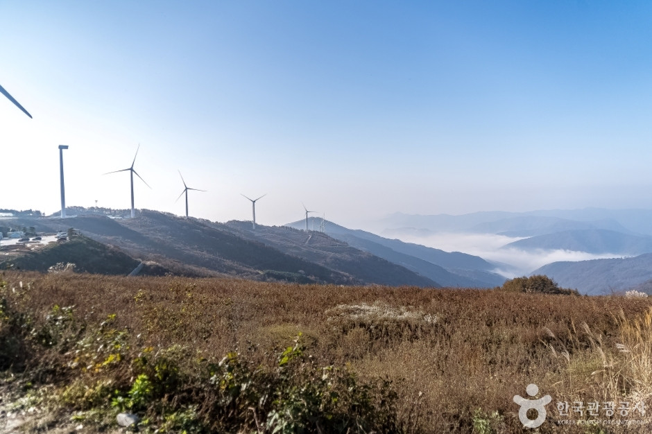 청옥산전망대 여행 추천 - 로드트립