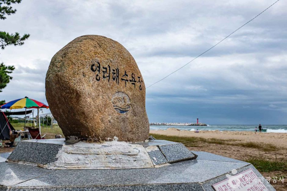영리해수욕장 여행 추천 - 로드트립