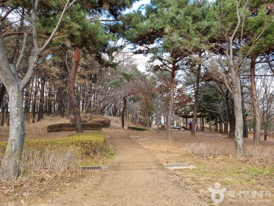 수지체육공원 여행 추천 - 로드트립