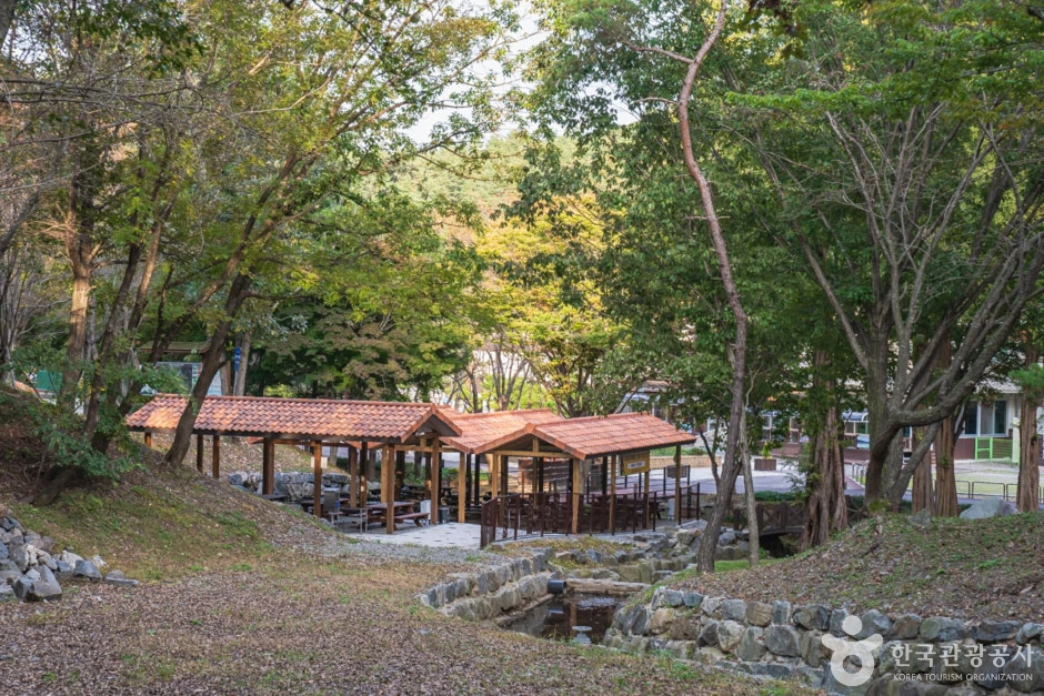 칠갑산자연휴양림 여행 추천 - 로드트립