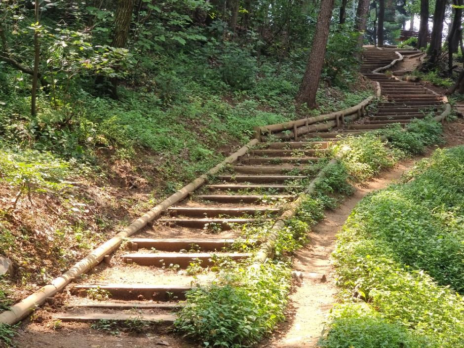 [서울둘레길 10코스] 우면산코스 여행 추천 - 로드트립