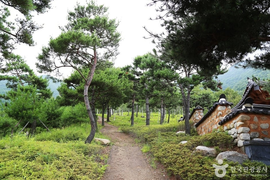 동의보감촌한방자연휴양림 여행 추천 - 로드트립