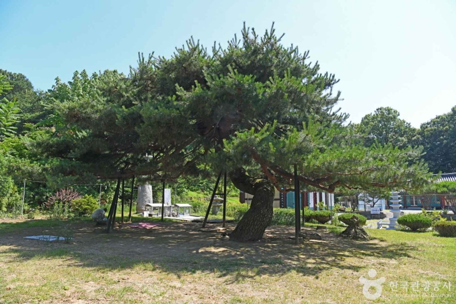 송불암(논산) 여행 추천 - 로드트립