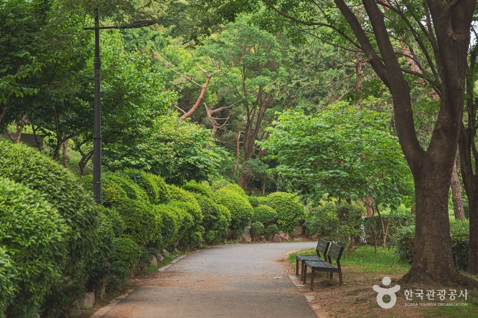 남산 야외식물원 여행 추천 - 로드트립