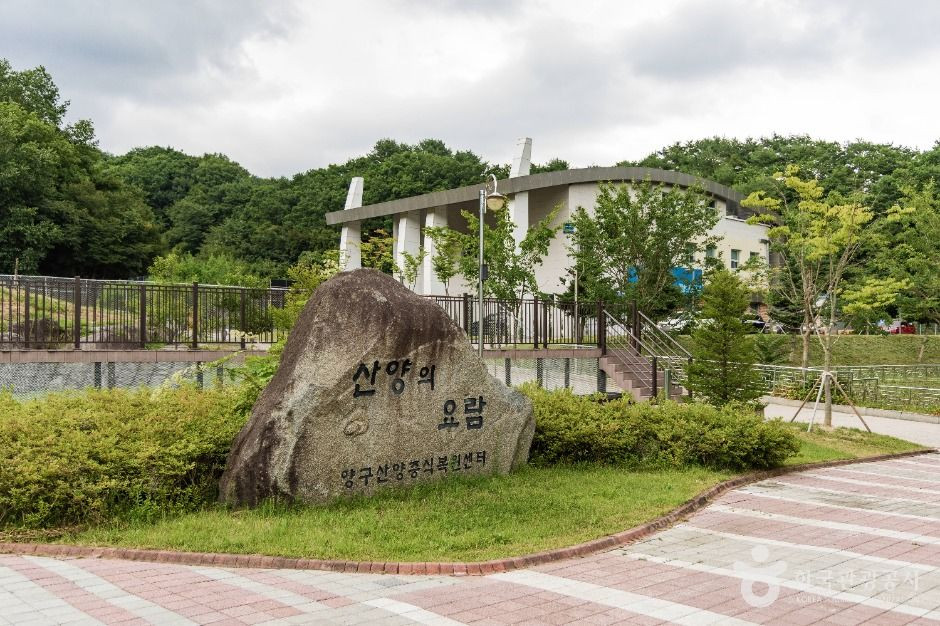 양구 산양·사향노루센터 여행 추천 - 로드트립