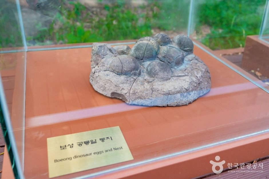 보성 비봉리 공룡알 화석산지 여행 추천 - 로드트립