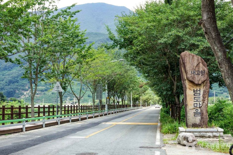 단장 이팝꽃 터널길 여행 추천 - 로드트립