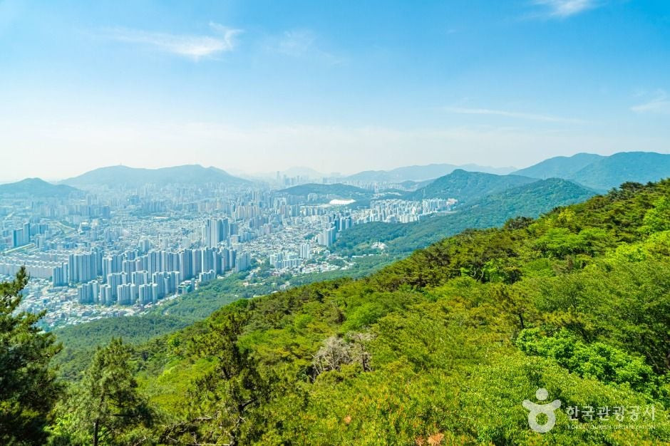 금정산 여행 추천 - 로드트립