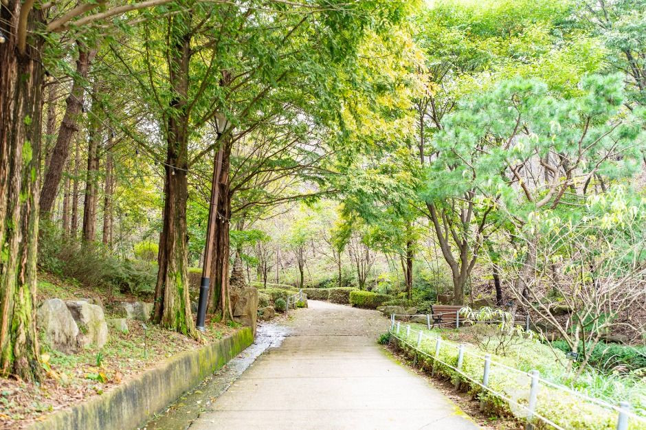 아산 영인산자연휴양림 여행 추천 - 로드트립