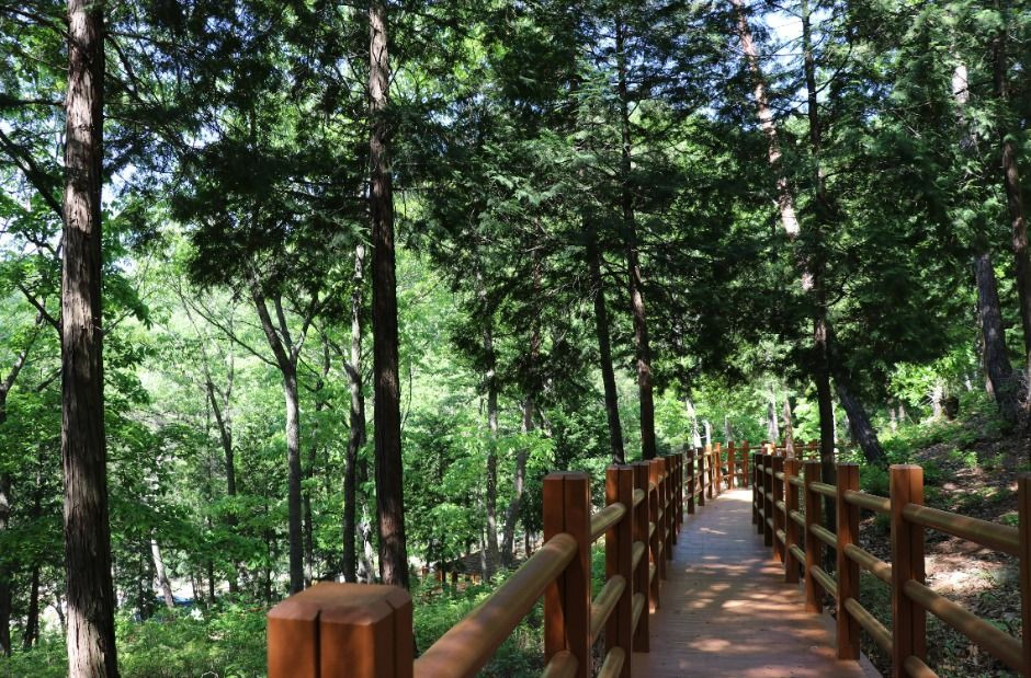 국립대운산치유의숲 여행 추천 - 로드트립